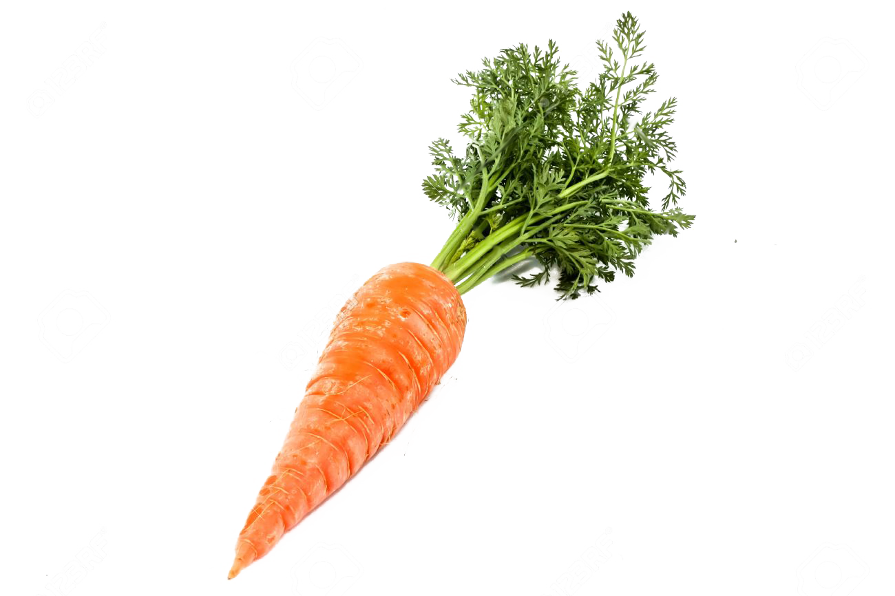 Carrot