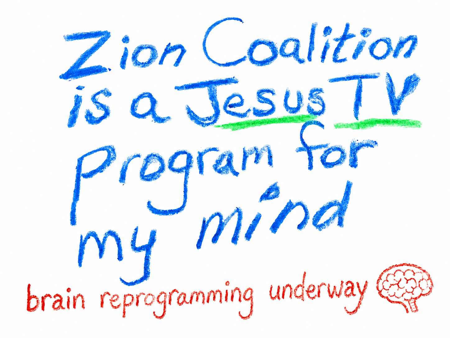 Brain Programming