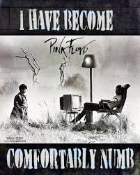 dark pillow download (31)