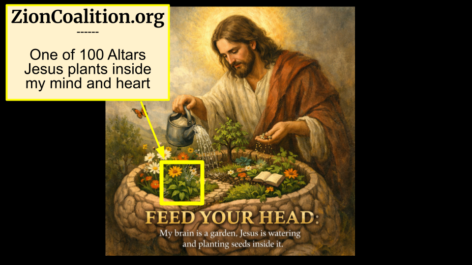 meme 48 feed your head (2)ccccc